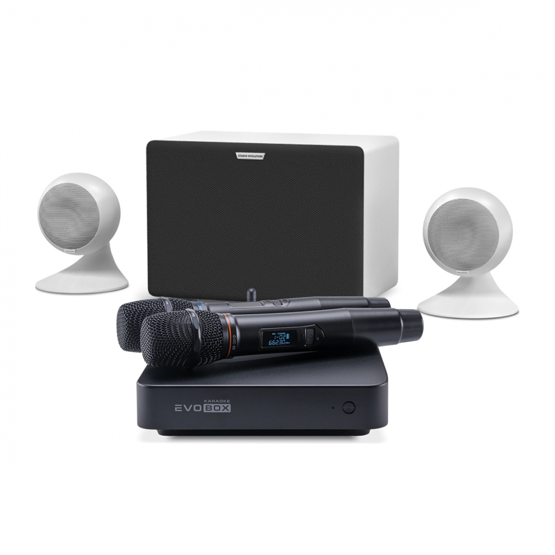караоке-комплект EVOBOX Classic + EvoSound Sphere 2.1 в Угличе