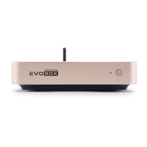 EVOBOX Classic караоке-система для дома в Угличе