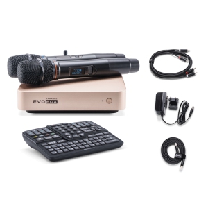 EVOBOX Classic караоке-система для дома в Угличе