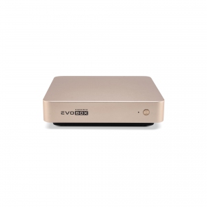 EVOBOX с микрофонами в Угличе